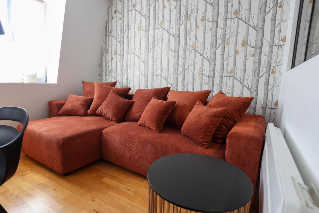 Appartement Le Verdoyant Hyper Centre Avec Sauna Et Parking Colmar Eksteriør billede