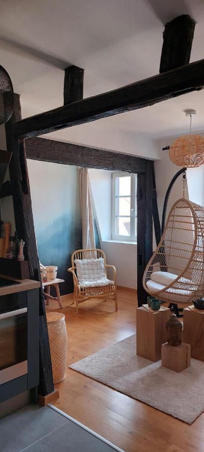 Appartement Le Verdoyant Hyper Centre Avec Sauna Et Parking Colmar Eksteriør billede